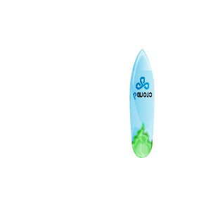 C9 Surfboard