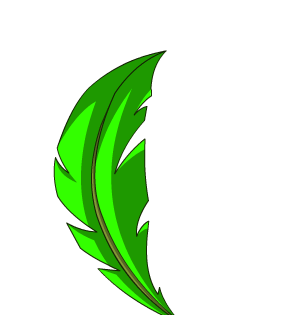 Palm Leaf
