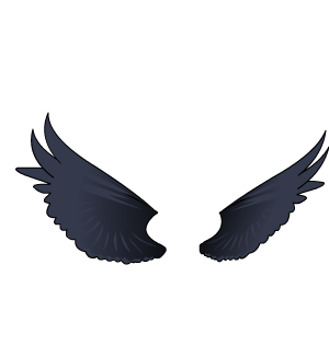 Shadow Wings