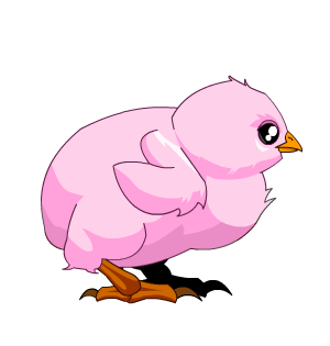 Rose Quartz Baby Chick