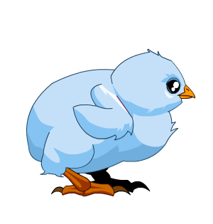 Blue Diamond Baby Chick (Daily Limited) w8
