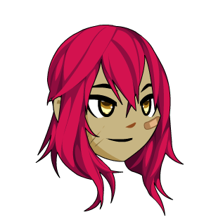 Rugged Citizen Locks