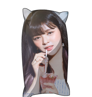 Jeongyeon Pillow