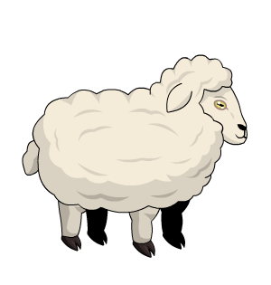 Sheep Pet