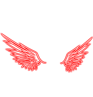 CC Streamer Wings