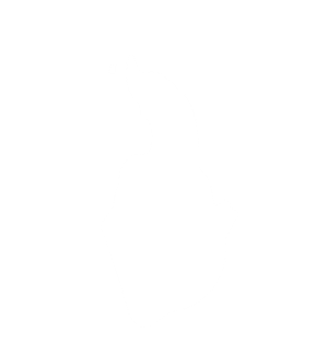 Arcane Dark Caster Spirit Book