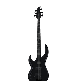 Fieldy's Bass