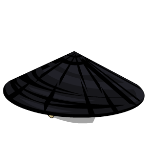 Dark Conical Hat