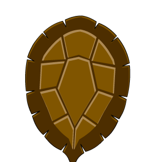 Turtle Shell