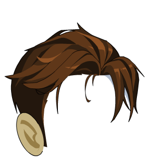 Wojo Personal Hair (Relic)