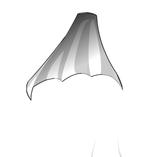 Witch Cape