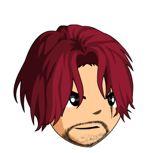 Shanks Hair