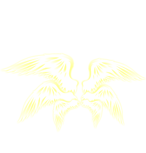 Wings of the Lightweaver