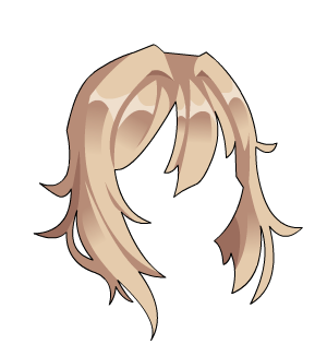 Swordhaven Courtly Locks