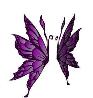 Murasaki Yousei Wings