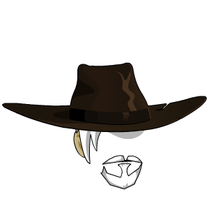 Westerm Gunslinger Hat