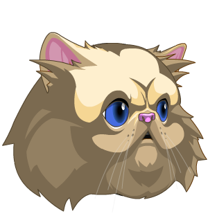 Kitty Sky Fighter Morph