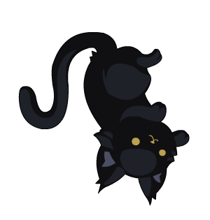 Black Kitty