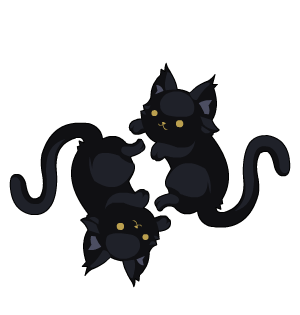 Black Kittens