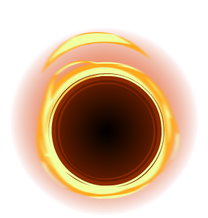 Black Hole Morph