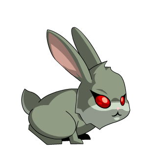 Angry Bunny Pet