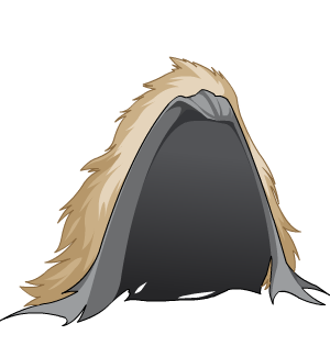 Cryozen's Dragonlord Cloak