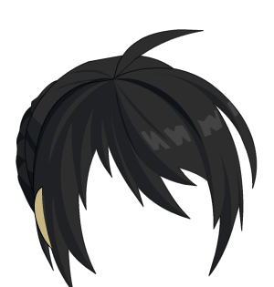 Royal Winter Paladin Locks