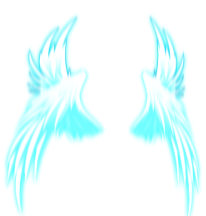 Grandmaster's Celestial Wings
