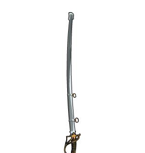 Polish Warrior's Sheathed Sabre