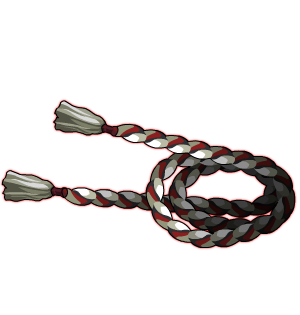 Warok's Binding Cord