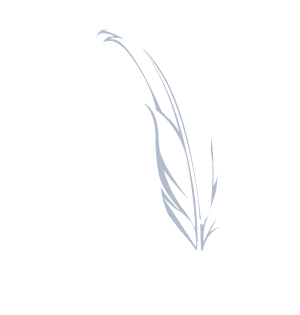 Tickling Feather