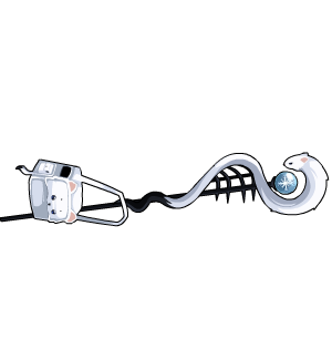 Ermine Accoutrements