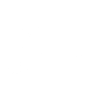 CC Snowflake