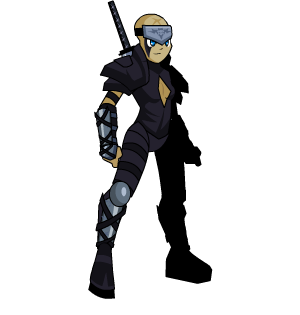 Black Ninja male