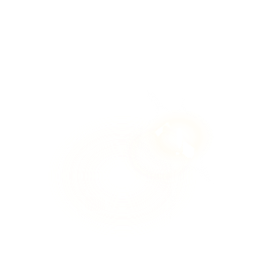 Blinding Sun's Glare