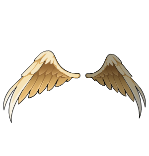 Marvelous Cherub Wings