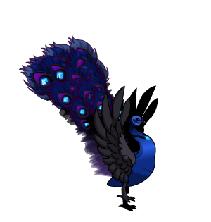 Shadow Peacock Pet