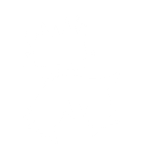 Celestial Aurora Crown Hair