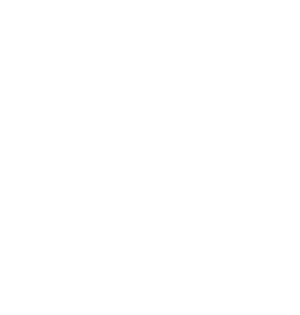 Celestial Aurora Hair
