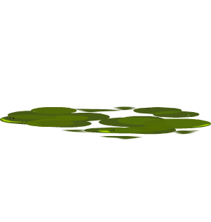 Spilled Slime
