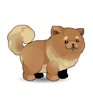 Chow Chow (Daily Limited) w5