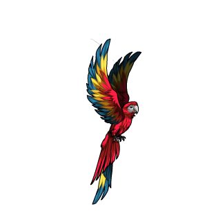 Noble Pirate Parrot Pet