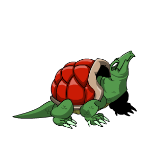 Red Shell Turtle