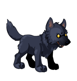 Dark Wolf Pup