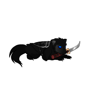 Inu Ken Pet | 100 Wear