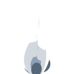 Silver Eternal Flame