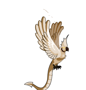 White Dragon’s Parrot Cape