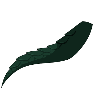 Green Dragon’s Pirate Tail