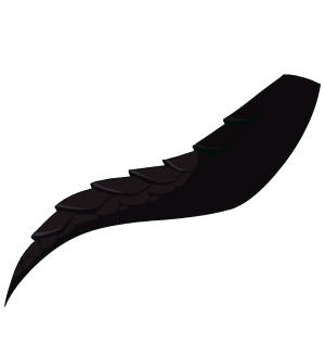 Black Dragon’s Pirate Tail