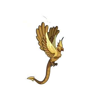 Gold Dragon’s Parrot Pet